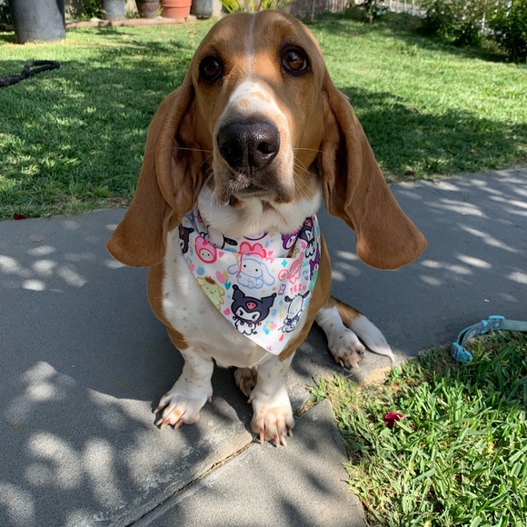 Meet your Posher, Valerie - Picture 4 of 5